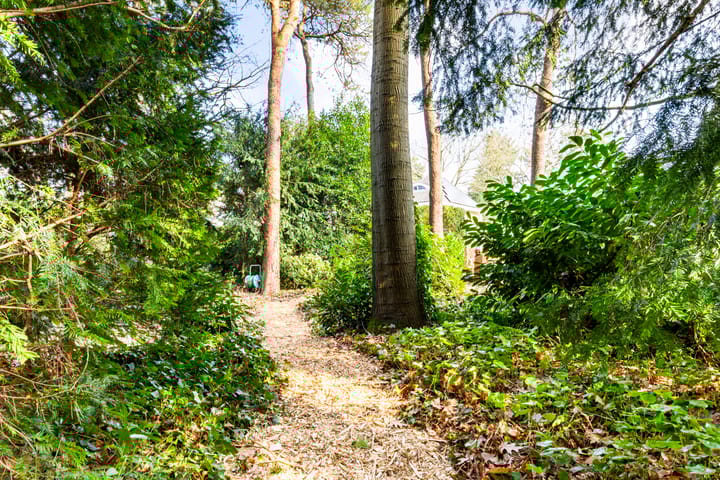 Photo 51 of Vosseveldlaan 54