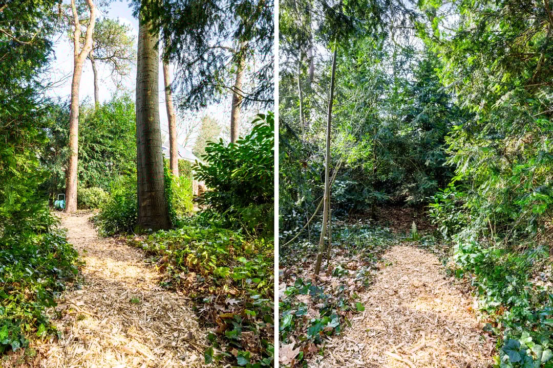 Photo 52 of Vosseveldlaan 54