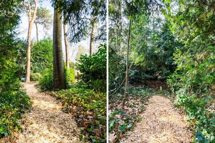 Photo 52 of Vosseveldlaan 54