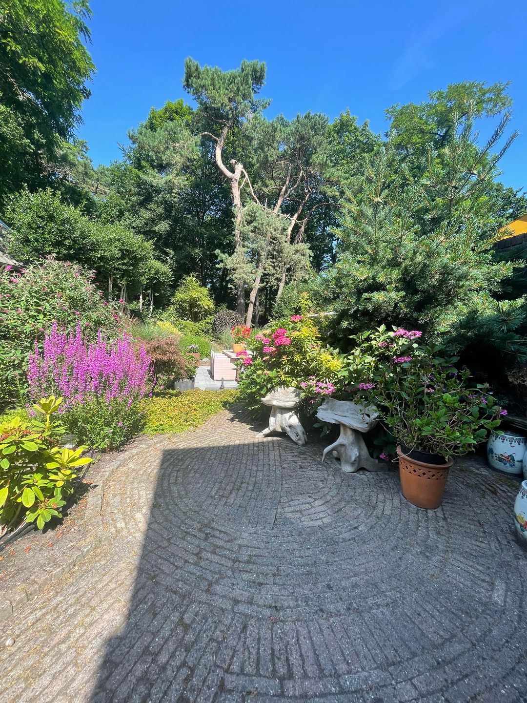 Photo 56 of Vosseveldlaan 54