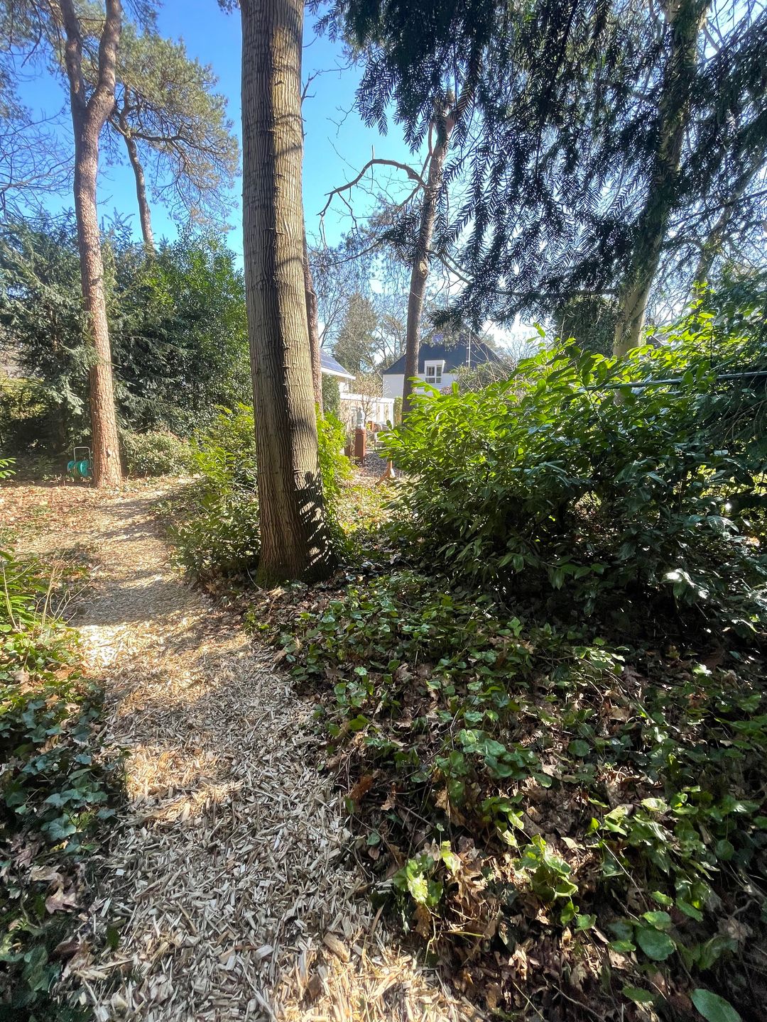 Photo 62 of Vosseveldlaan 54