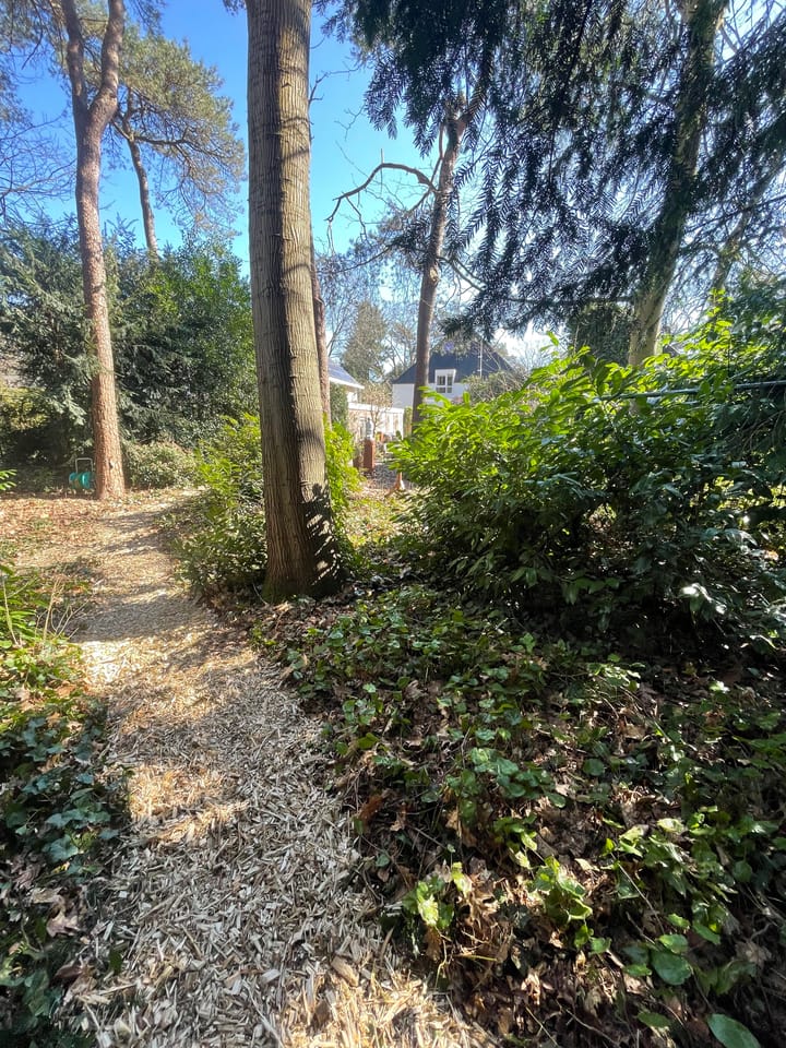 Photo 62 of Vosseveldlaan 54