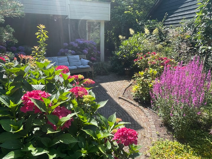 Photo 63 of Vosseveldlaan 54