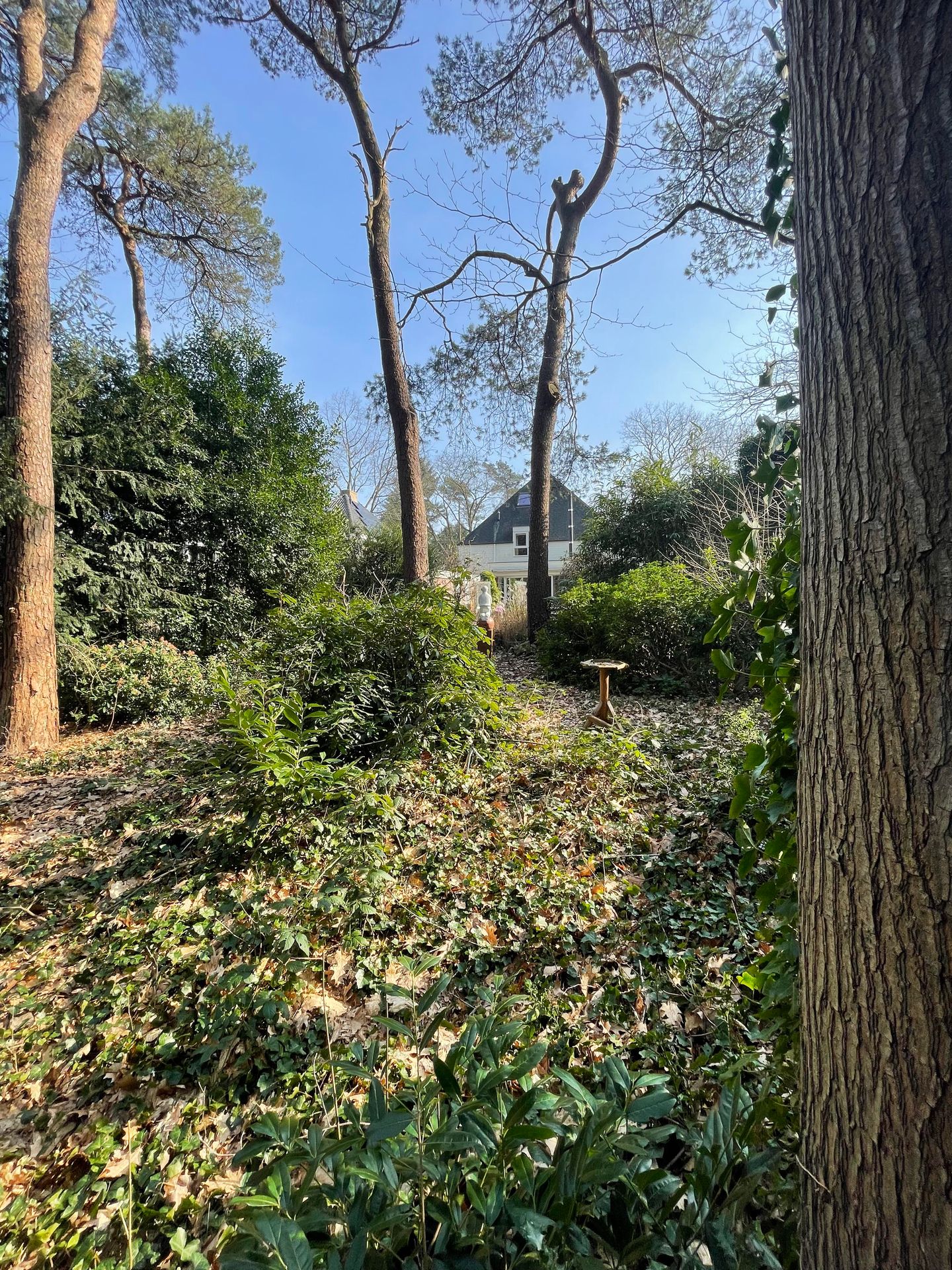 Photo 65 of Vosseveldlaan 54