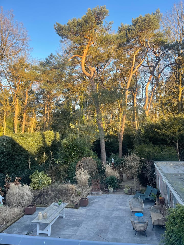 Photo 68 of Vosseveldlaan 54