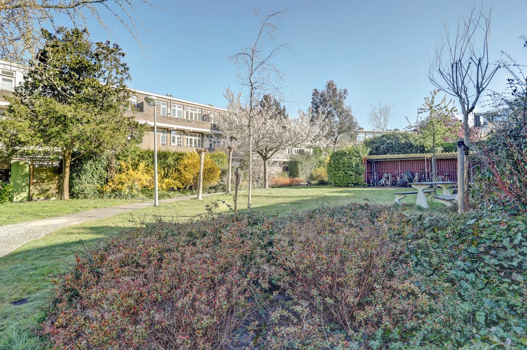 Foto 17 van van Wassenaerstraat 48