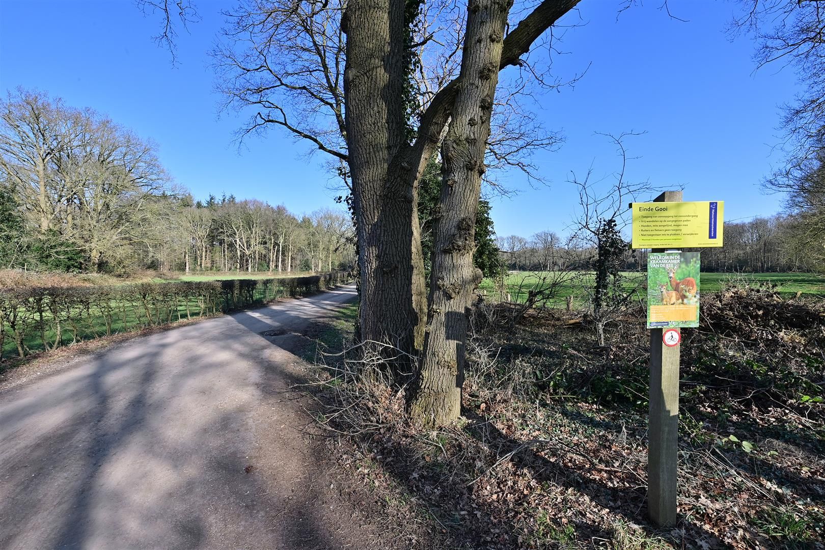 Foto 15 van Graaf Floris V weg 37-39