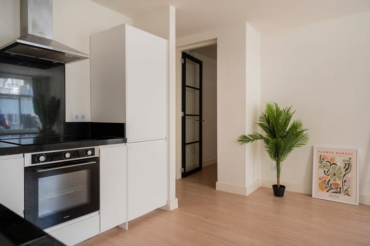 Foto 17 van Hugo de Grootstraat 17-B