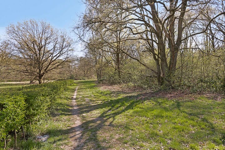 Foto 65 van Argonautenlaan 18