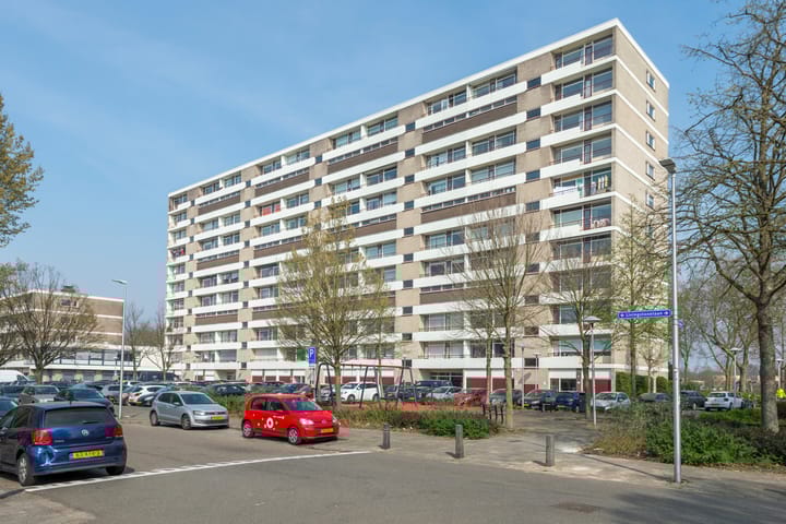 Foto 3 van Livingstonelaan 304