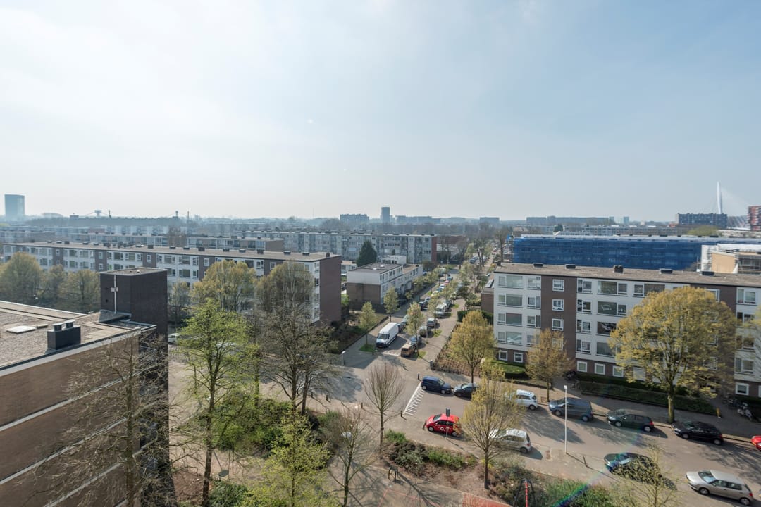 Foto 22 van Livingstonelaan 304