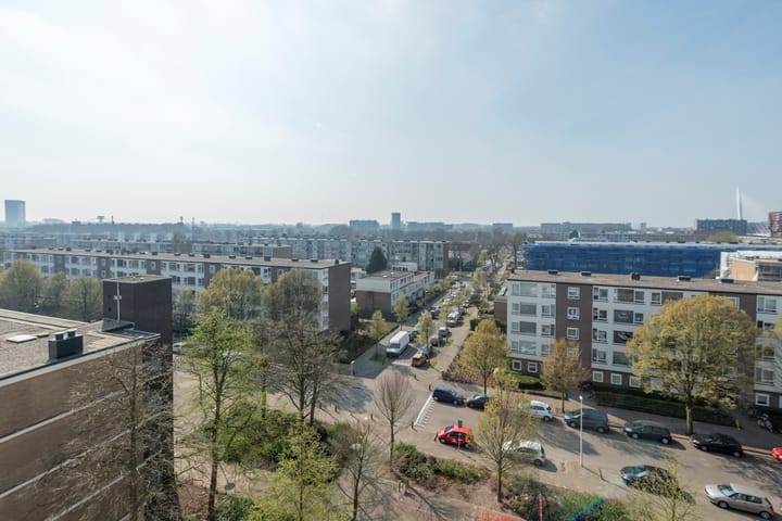 Foto 22 van Livingstonelaan 304