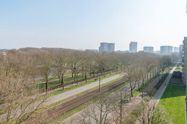 Foto 36 van Livingstonelaan 304