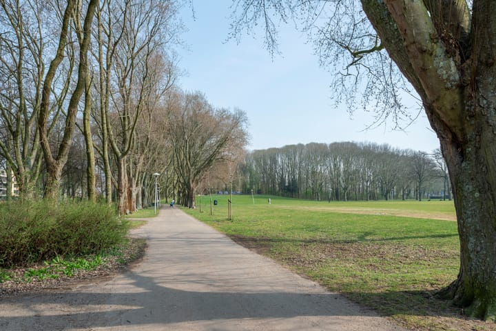 Foto 39 van Livingstonelaan 304