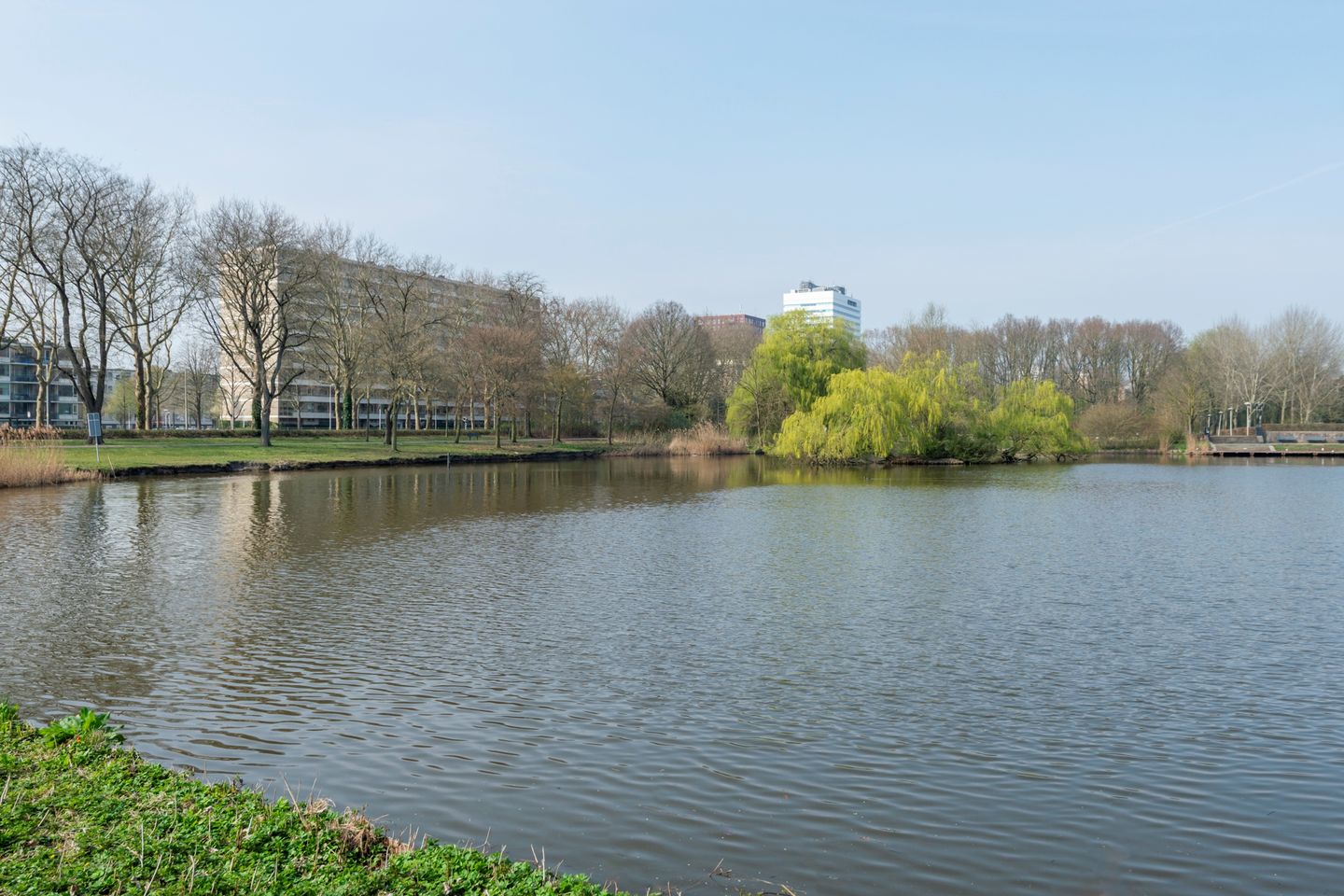 Foto 40 van Livingstonelaan 304