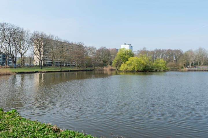 Foto 40 van Livingstonelaan 304