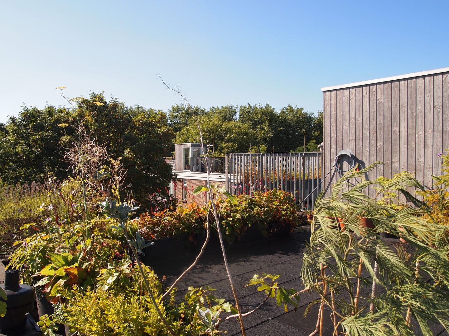 Foto 14 van Wallisweg 32-B