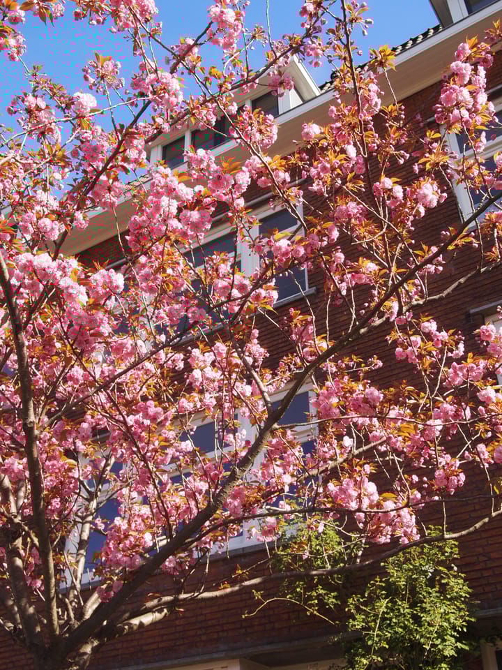 Foto 77 van Wallisweg 32-B