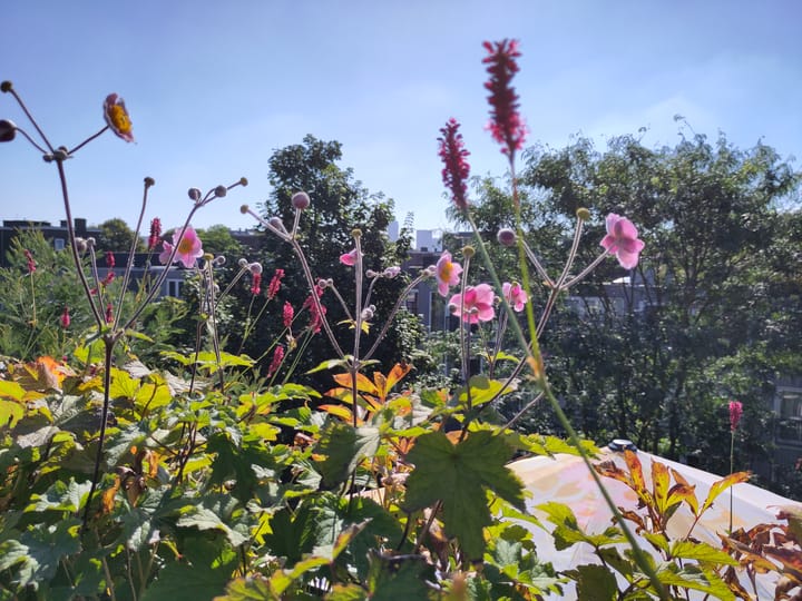 Foto 78 van Wallisweg 32-B