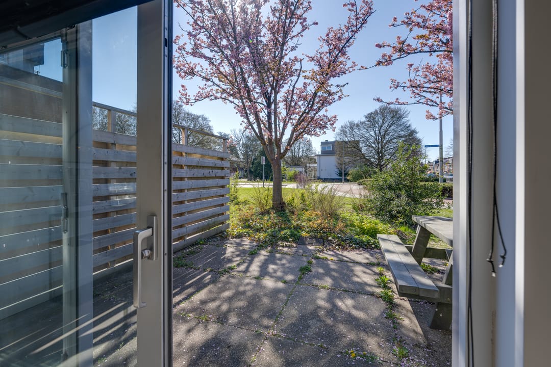 Foto 16 van Tholenseweg 40