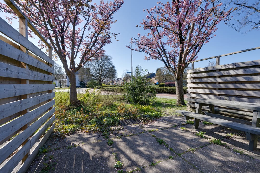 Foto 17 van Tholenseweg 40