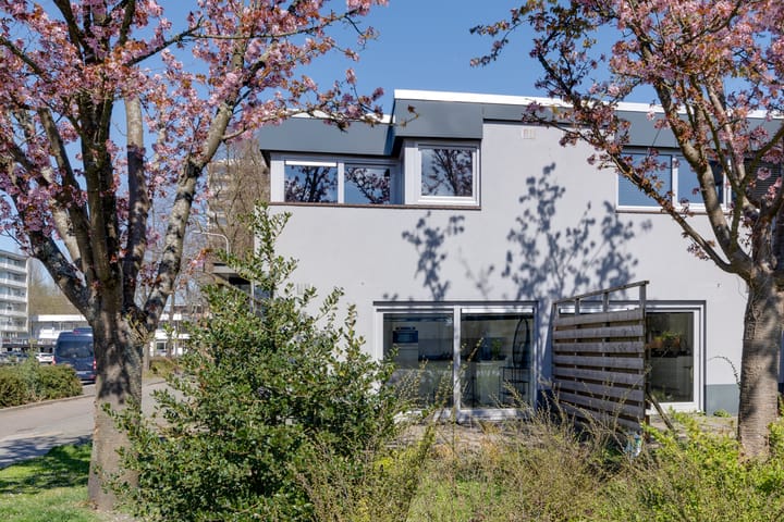 Foto 30 van Tholenseweg 40