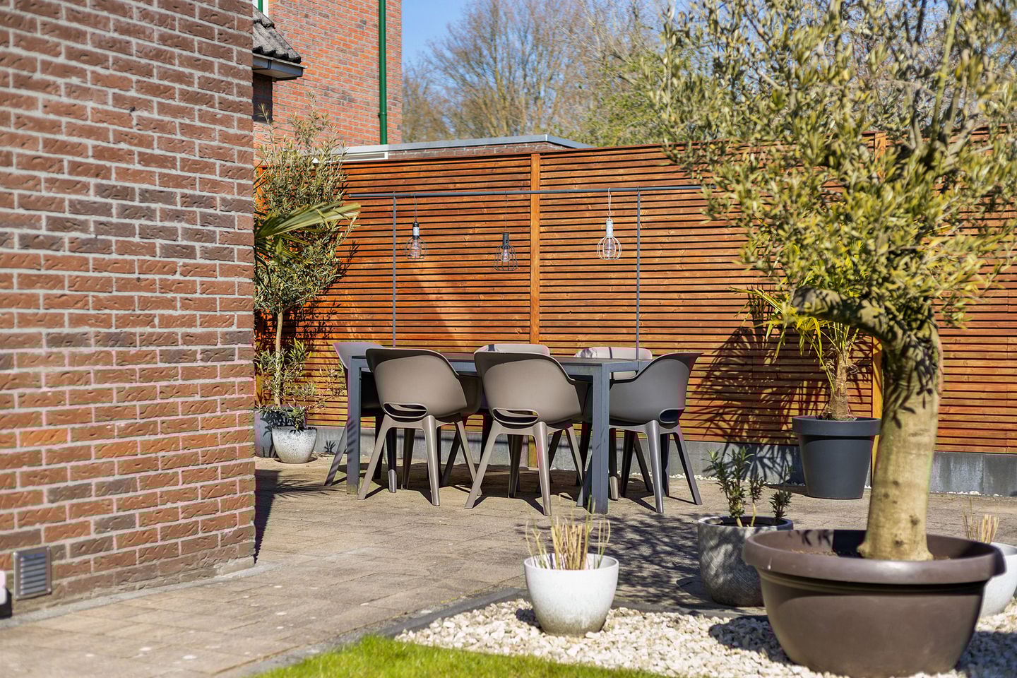 Photo 19 of Rietzoom 4