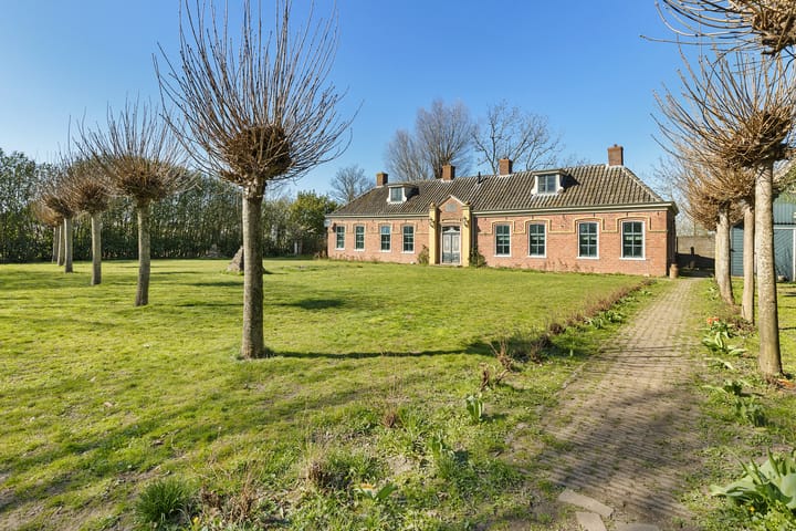 Ds. Syperdapad 6 main image