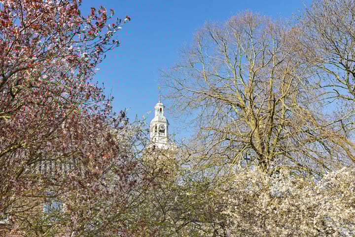 Foto 14 van Ds. Syperdapad 6