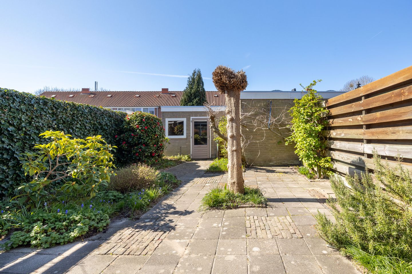 Foto 25 van Bronkhorststraat 25