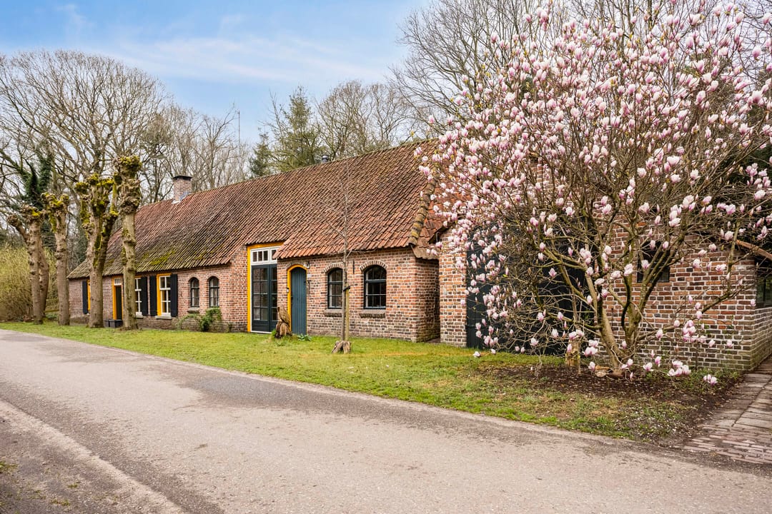 Foto 2 van Nedermolen 2