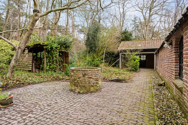 Foto 40 van Nedermolen 2