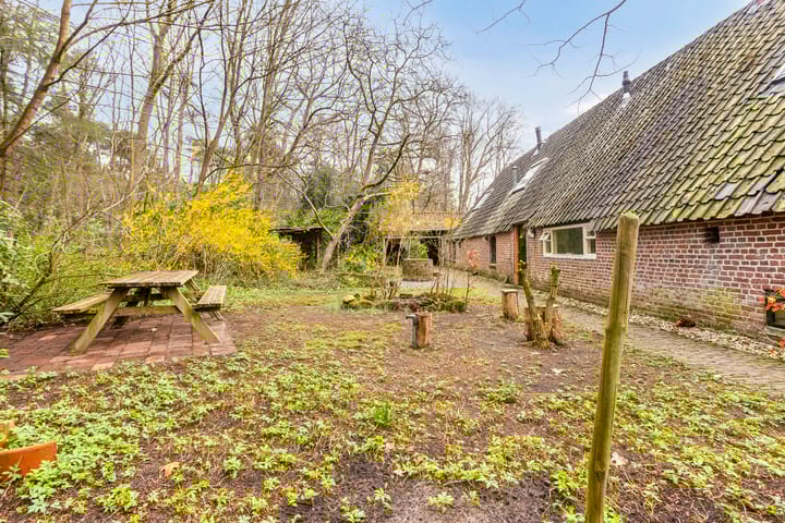 Foto 46 van Nedermolen 2