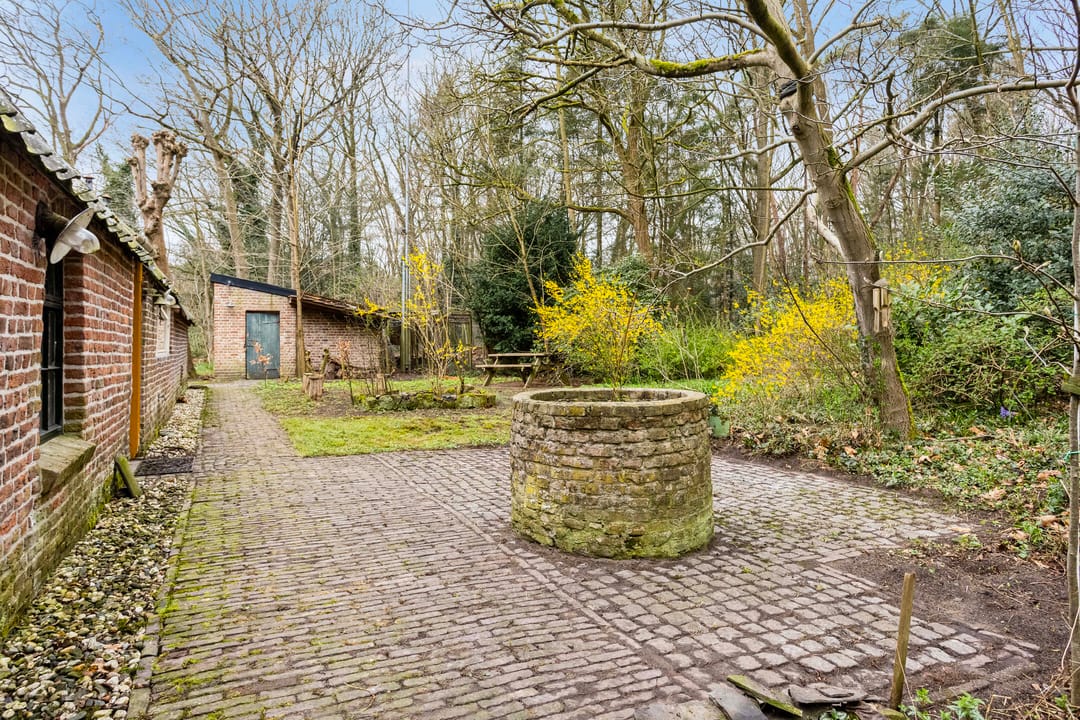 Foto 47 van Nedermolen 2