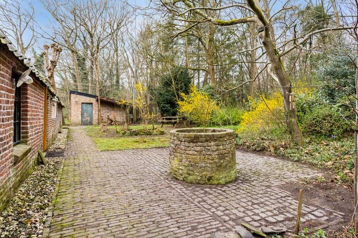 Foto 47 van Nedermolen 2