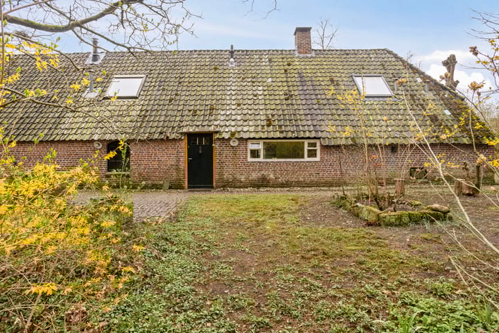 Foto 48 van Nedermolen 2