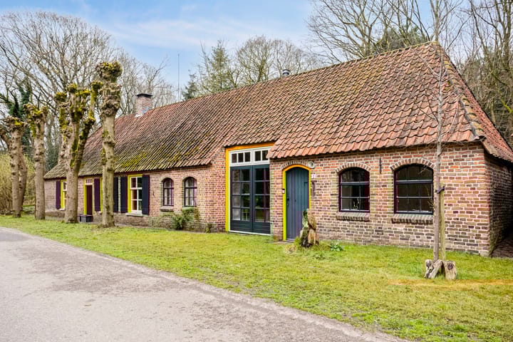 Foto 50 van Nedermolen 2