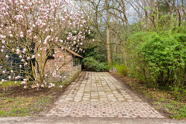 Foto 51 van Nedermolen 2