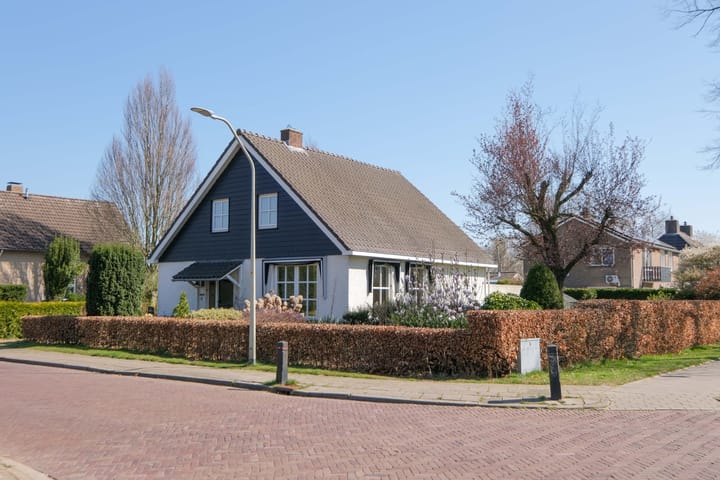 Foto 35 van Peppellaan 4