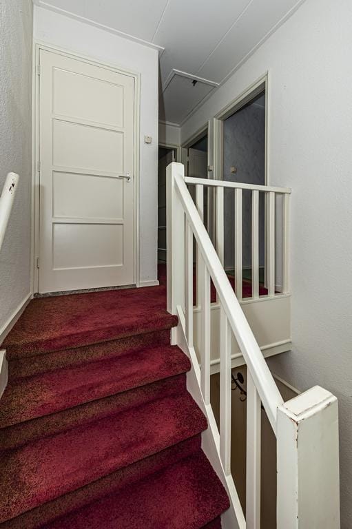 Foto 15 van Burgemeester van den Boschstraat 6