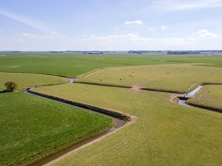 Photo 64 of Boontjes 109