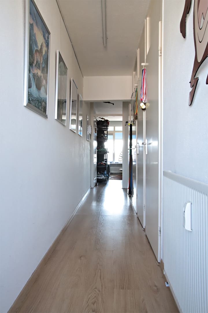 Foto 4 van Noordsingel 50