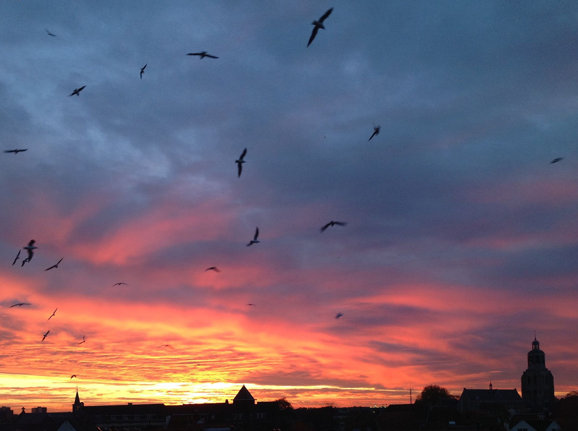 Foto 15 van Noordsingel 50