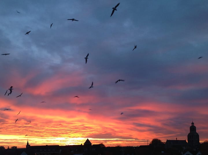 Foto 15 van Noordsingel 50