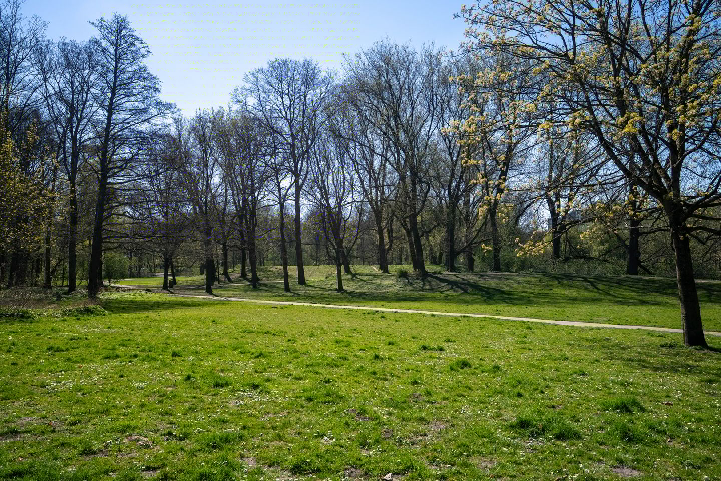 Photo 34 of Orteliuskade 20-3