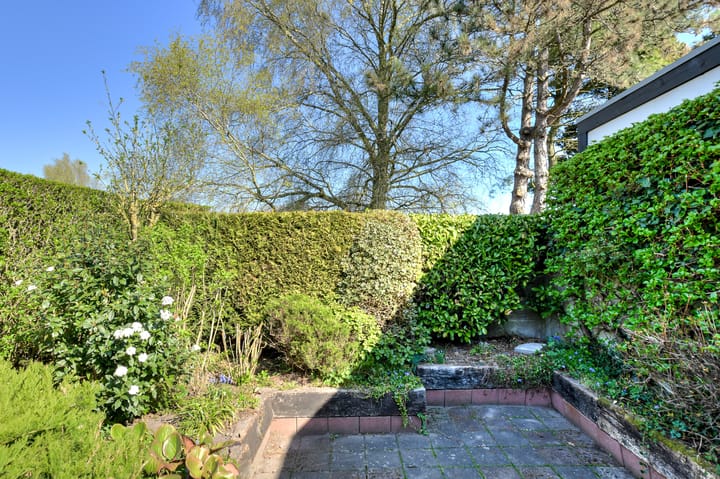 Foto 36 van Bergen 15