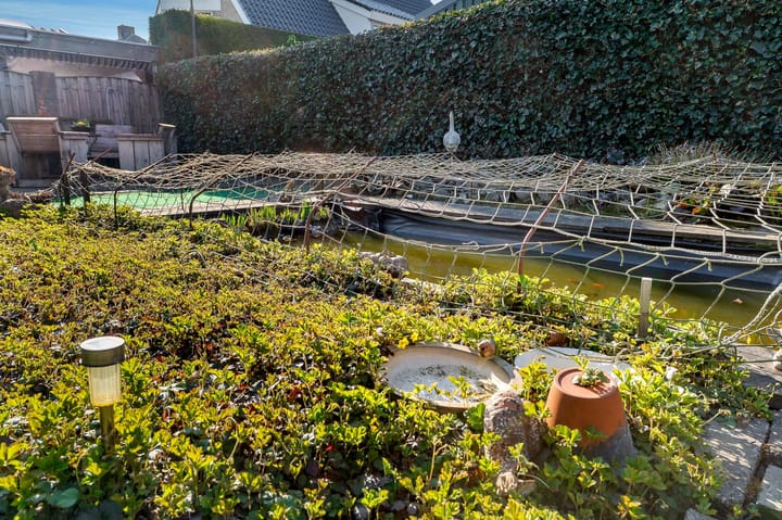 Foto 65 van Korte Bunder 7