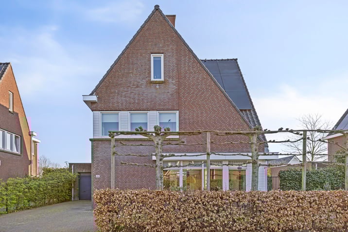 undefined main image