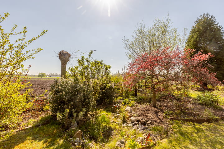 Foto 60 van Pastoor van Gestelstraat 8