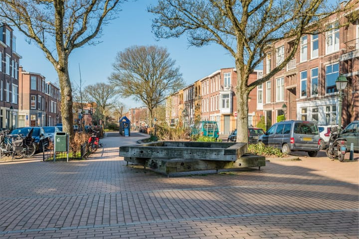 Foto 36 van Govert Bidloostraat 44